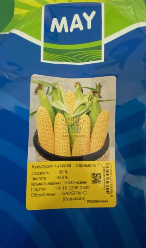 Насіння кукурудзи Карамелло F1, рання, суперсолодка, "May Seeds" (Туреччина), 5 000 шт