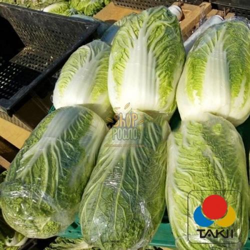 Насіння капусти  пекінської Кюстар F1, рання,"takii Seeds" (Японія), 2 500 шт Normal seeds