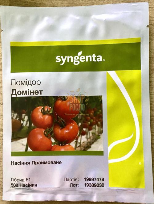 Насіння томату  Домінет F1,полуіндет. червоний з носиком,ранній гібрид, "Syngenta" (Швейцарія), 500 шт