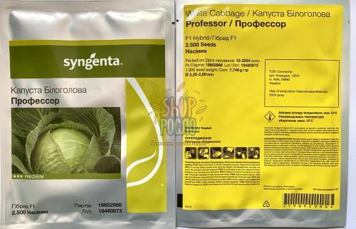 Насіння капусти білоголовой Професор, пізній гібрид, "Syngenta" (Швейцарія), 2 500 шт