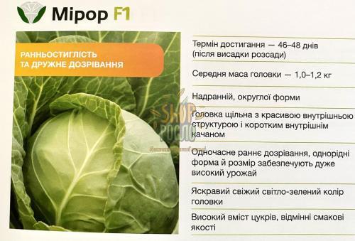 Насіння капусти білоголовой Мірор, ранній гібрид, "Syngenta" (Швейцарія), 2 500 шт