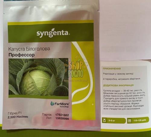 Насіння капусти білоголовой Професор, пізній гібрид, "Syngenta" (Швейцарія), 2 500 шт