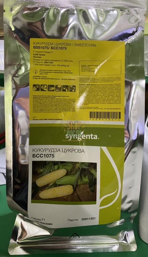 Насіння кукурудзи  БСС 1075 F1, BSS 1075 F1, ранній суперсолодкий гібрид, Syngenta (Швейцарія), 1 000 шт (Фас)