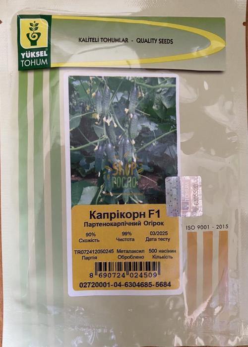 Огірок Капрікорн F1, ранній гібрид, партенокарпічний, Yuksel Tohum (Туреччина), 500 шт