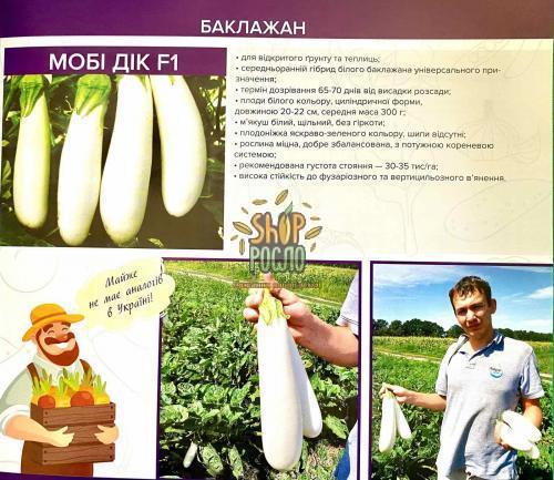 Насіння баклажану Мобі Дік F1, ранній білий гібрид, Kitano Seeds (Японія), 250 шт