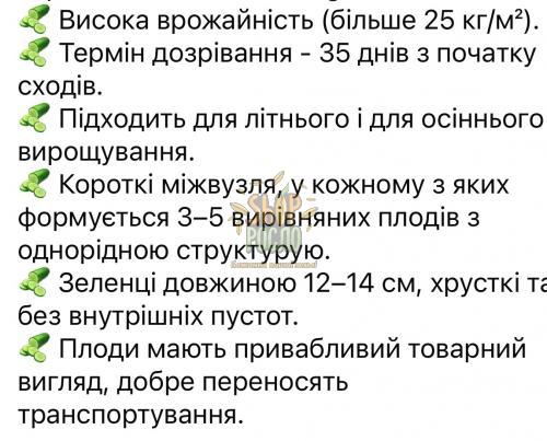 Насіння огірка Солют (Абсолют) F1, ранній гібрид, партенокарпічний, "NongWoo Bio" (Корея), 500 шт