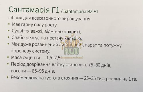 Семена капусты цветной Сантамария (26-58), ранний гибрид,2500 шт, "Rijk Zwaan" (Голландия), 2 500 шт