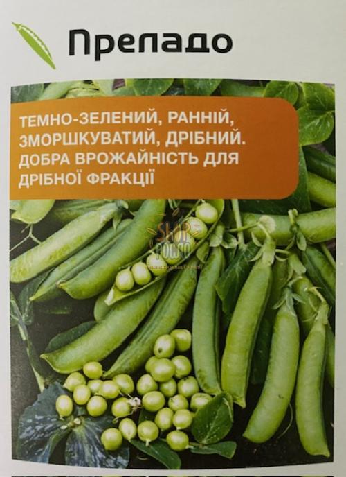 Насіння гороху Преладо, ранній ,Syngenta (Швейцарія), 500 г (Фас)