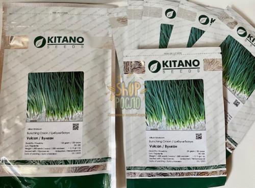 Насіння цибулі на перо Вулкан, "Kitano Seeds" (Японія), 20 г