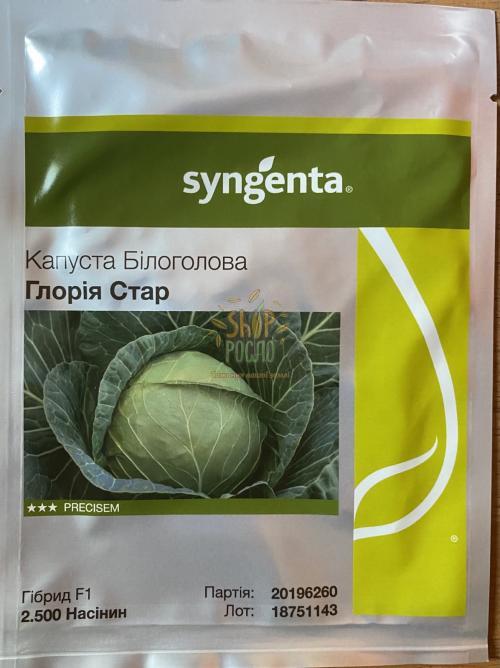 Капуста белокочанная Глория Стар F1, среднеспелый гибрид, Syngenta (Швейцария), 2 500 шт