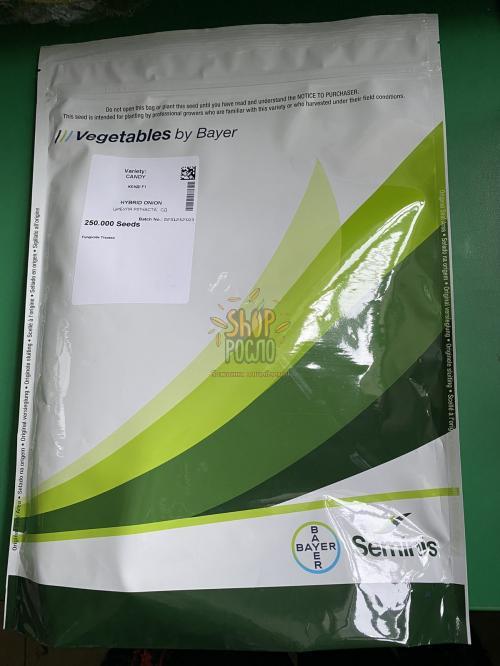 Насіння цибулі ріпчастої Кенді F1,ранній солодкий гібрид,  "Seminis" (Голландія), 250 000 шт