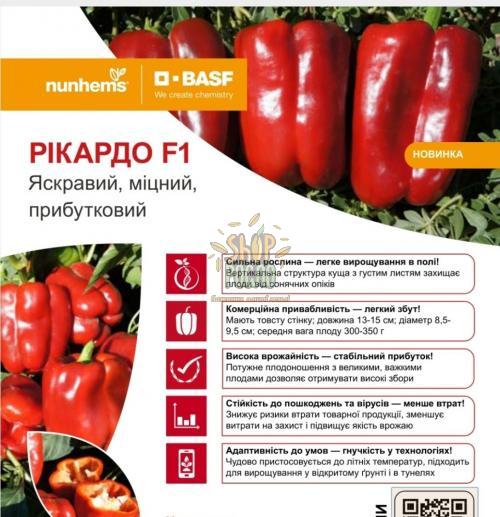 Семена перца Рикардо F1, ранний гибрид, удлиненно-кубовидный, "Nunhems Bayer" (Голландия), 1 000 шт