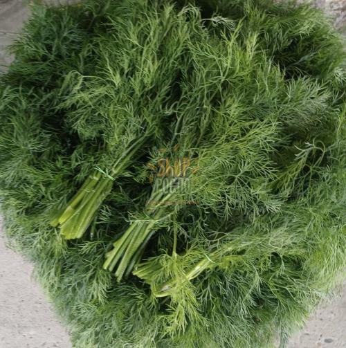 Насіння кропу Мамут, ранній кущовий сорт, "Sais" (Італія), 400 г