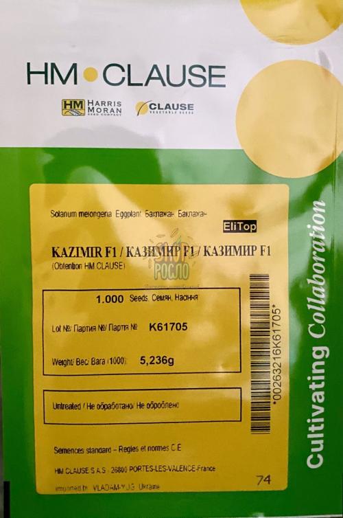 Семена баклажана Казимир F1, ранний гибрид, "Clause" (Франция), 1 000 шт