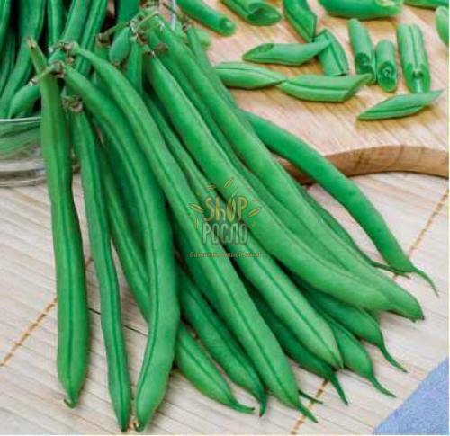 Семена фасоли спаржевой Маркони, зеленая, "Коуэл" (Германия), 10 г