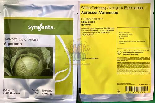 Семена капусты белокочанной Агрессор F1, среднепоздний гибрид,  "Syngenta" (Швейцария), 2 500 шт (2,0-2,25)