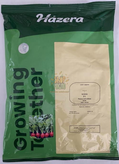 Насіння редису Аутелла F1, ранній гібрид, "Hazera"  (Ізраїль), 50 000 шт (3,40-3,60)