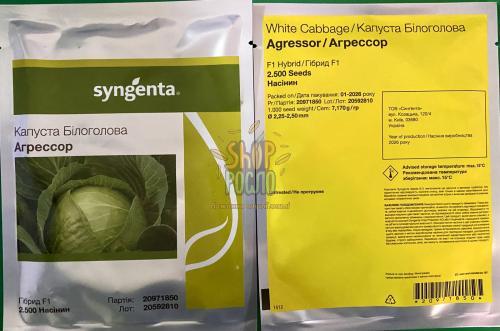 Семена капусты белокочанной Агрессор F1, среднепоздний гибрид,  "Syngenta" (Швейцария), 2 500 шт (2,25-2,5)