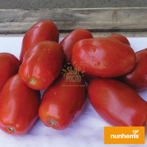 Семена томата Инкас F1, детерминантный ранний гибрид, "Nunhems Bayer"  (Голландия), 1 000 шт