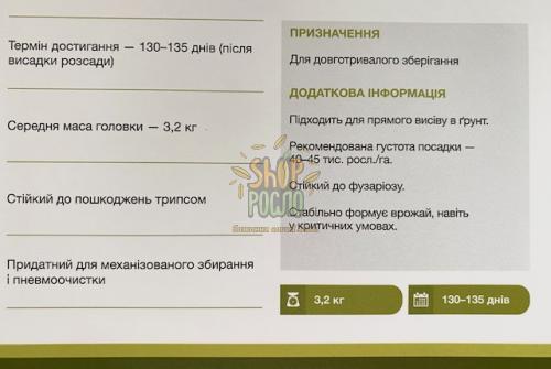 Насіння капусти білоголовой Сторідор  F1, для зберігання гібрид,  "Syngenta" (Швейцарія), 2 500 шт