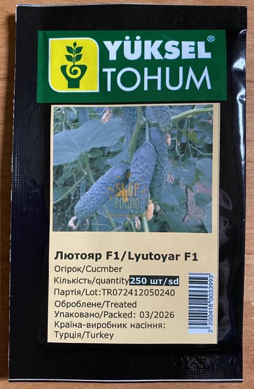 Огірок Лютояр F1, ранній  гібрид, партенокарпічний, Yuksel Tohum (Туреччина), 250 шт