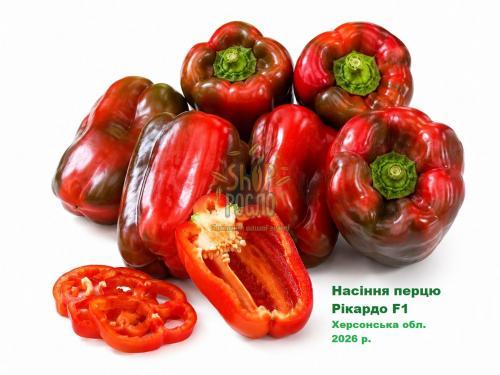 Семена перца Рикардо F1, ранний гибрид, удлиненно-кубовидный, "Nunhems Bayer" (Голландия), 1 000 шт