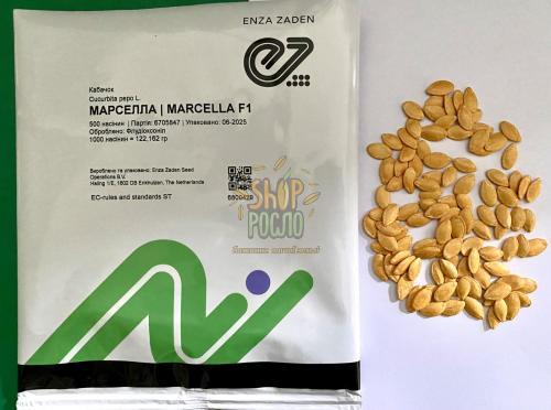 Насіння кабачка Марселла F1, ранній, "Enza Zaden" (Голландія), 100 шт (Фас)