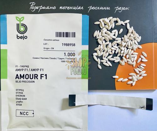Насіння огірка Амур F1, ранній гібрид, партенокарпічний, "Bejo" (Голландія), 100 шт (Фас)