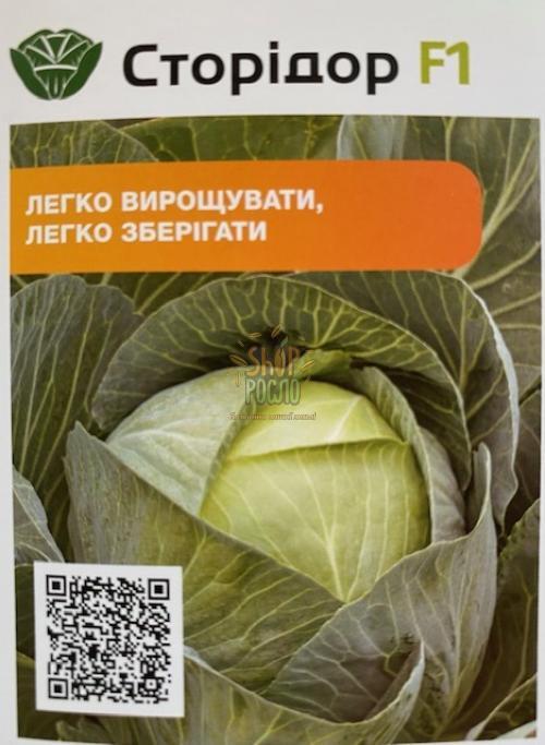 Насіння капусти білоголовой Сторідор  F1, для зберігання гібрид,  "Syngenta" (Швейцарія), 2 500 шт