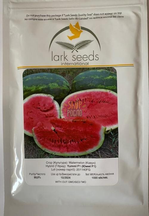 Семена арбуза Юмми F1, ранний гибрид, "Lark Seeds" (США), 1 000 шт