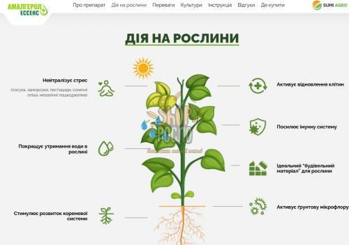 Амалгерон, стимулятор роста, "Саммит-Агро Юкрейн" (Украина), 1 л