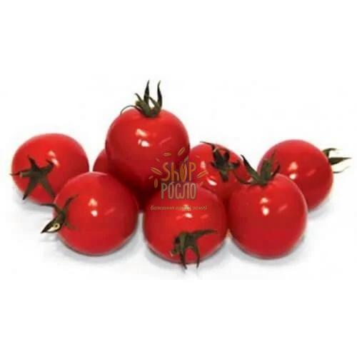 Насіння томату Стромболіно F1,чері кущовий ранній гібрид, "Unigen Seeds"  (США), 50 шт (Фас)