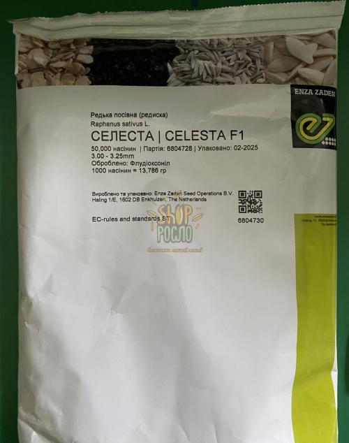 Семена редиса Селеста F1, ранний гибрид, "Enza Zaden" (Голландия), 50 000 шт (3,0-3,25)