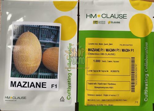 Семена дыни Мазин F1, ранний гибрид, "Clause" (Франция), 1 000 шт