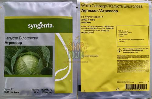Семена капусты белокочанной Агрессор F1, среднепоздний гибрид,  "Syngenta" (Швейцария), 2 500 шт (1,75-2,0)