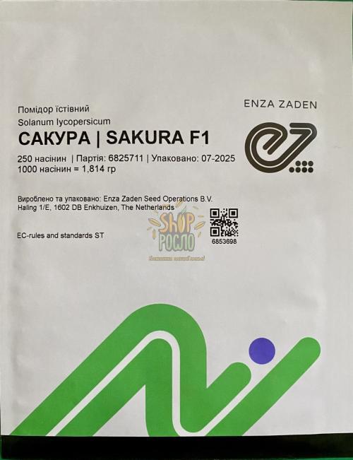 Семена томата Сакура F1, индетерминантный, ранний гибрид, "Enza Zaden" (Голландия), 250 шт