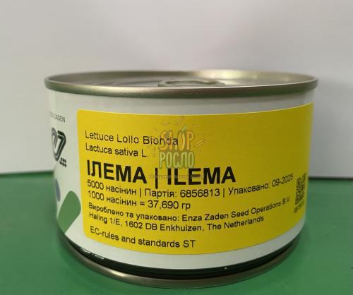 Салат Ілема, ранній сорт, Лолло Біонда, Enza Zaden (Голландія), 5000 шт