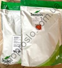Семена моркови Абако F1, ультраранний гибрид, "Seminis" (Голландия), 1 млн.шт (1,8-2,0)