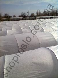 Агроволокно белое, плотность 23 г/м2, ширина 10,5 м, "Premium Agro" (Белорусь), УК, 100 м
