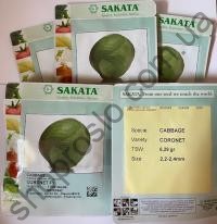Семена капусты белокочанной Коронет F1, поздний гибрид, "Sakata" (Япония), 1 000 шт