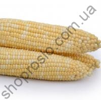 Семена кукурузы Майбико F1, ранний гибрид,1 кг "May Seeds" (Турция), ФАСОВКА, 1 кг