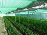 Сетка затеняющая темно-зеленая 60 %, ширина 4 м "Premium Agro" (Китай), 1 м