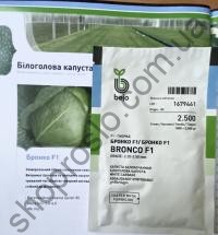 Семена капусты белокочанной Бронко F1, среднеспелый гибрид,    "Bejo" (Голландия), 2 500 шт