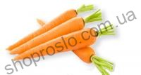Семена Моркови  