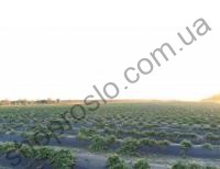 Агроволокно Agreen черное перфарированое, плотность 50 г/м2, ширина 1,07 м, 100 м