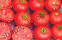 Насіння томату  Терра Кота F1, "Syngenta"  (Швейцарія), 1 000 шт