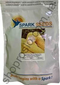Насіння кукурудзи Форвард 1709 F1, суперсолодка рання,"Spark Seeds" (США), 25 000 шт