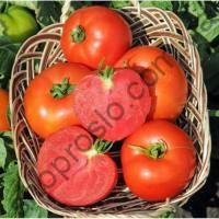 Насіння томату Аніта F1,  детермінантний середньостиглий гібрид, "Kitano Seeds" (Японія), 1 000 шт