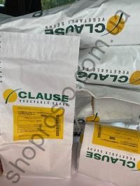Семена кукурузы Камберленд F1, среднеспелый гибрид, "Clause" (Франция), 50 000 шт