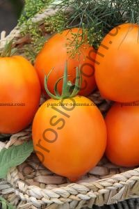 Семена томата Янтарное Сердце F1, детерминантный, ранний гибрид, 1 г, "НИЦССА" (Молдова), 1 г